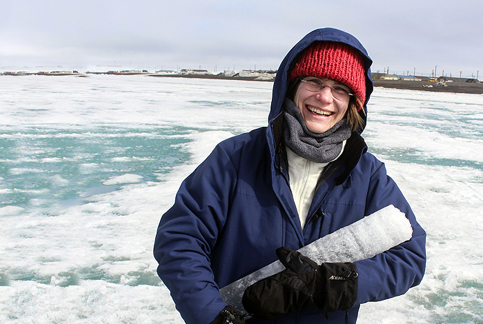 Arctic Ice Model Upgrade Released By LANL Scientists To Benefit Polar ...