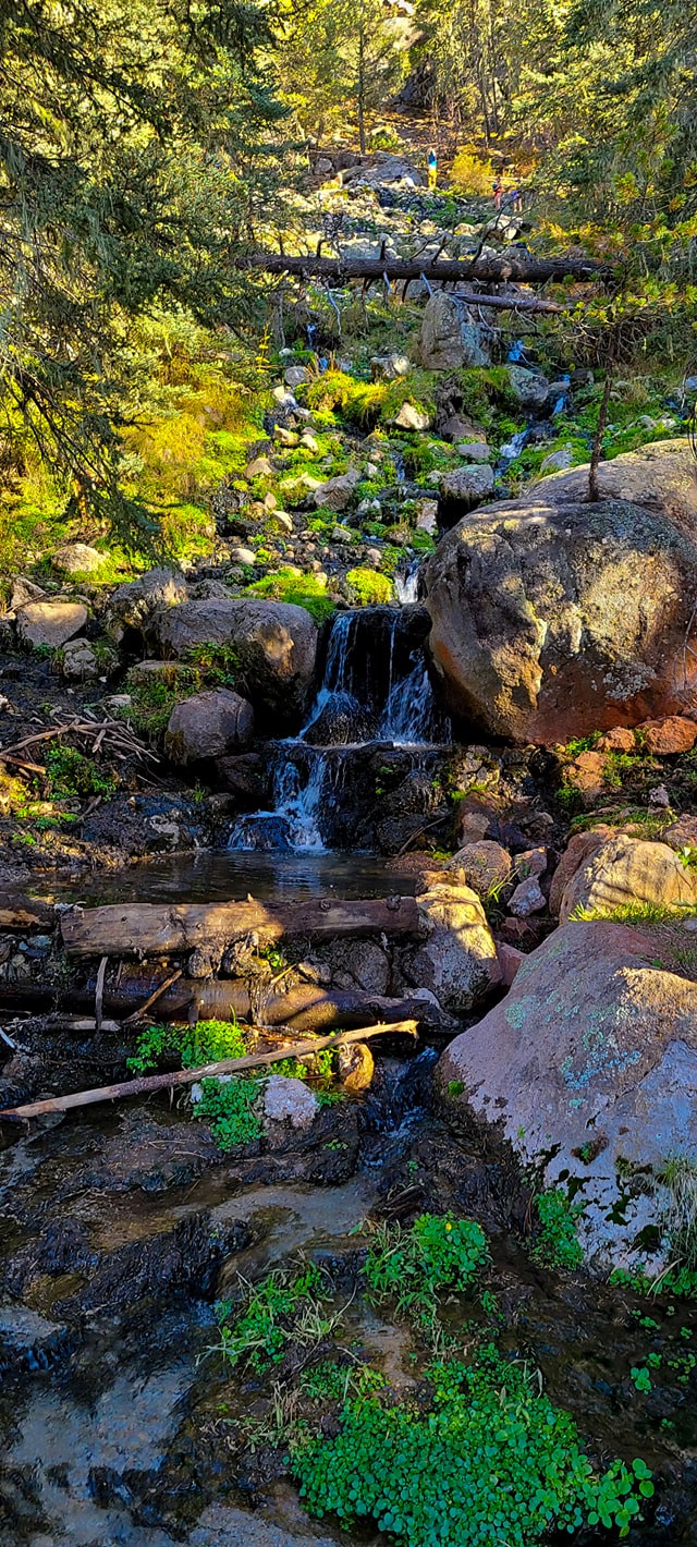 The Greens Of Summer Still Shine In The Jemez Mountains Los Alamos