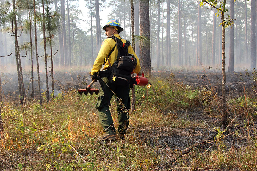 Los Alamos National Laboratory, USGS Partner To Advance Wildland Fire