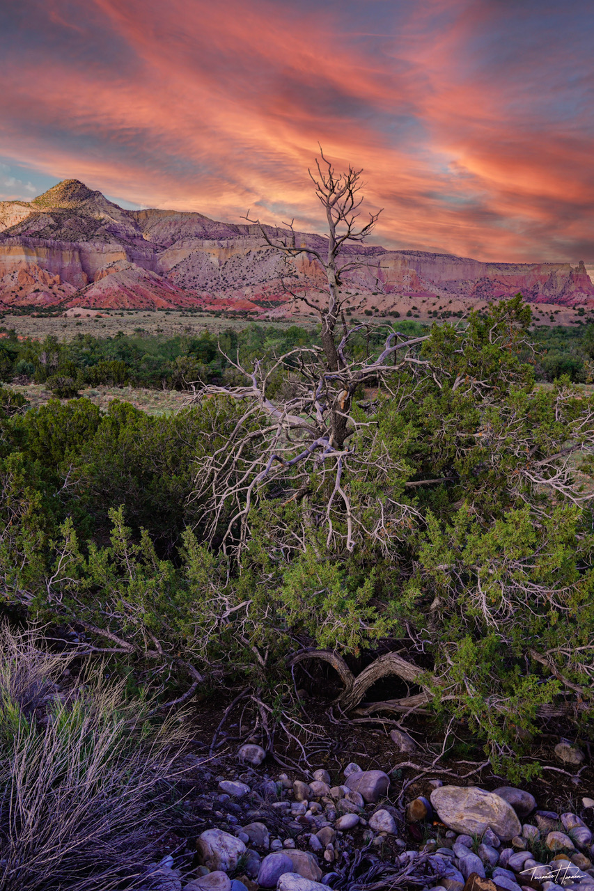 Saturday Evening View At Ghost Ranch – Los Alamos Reporter