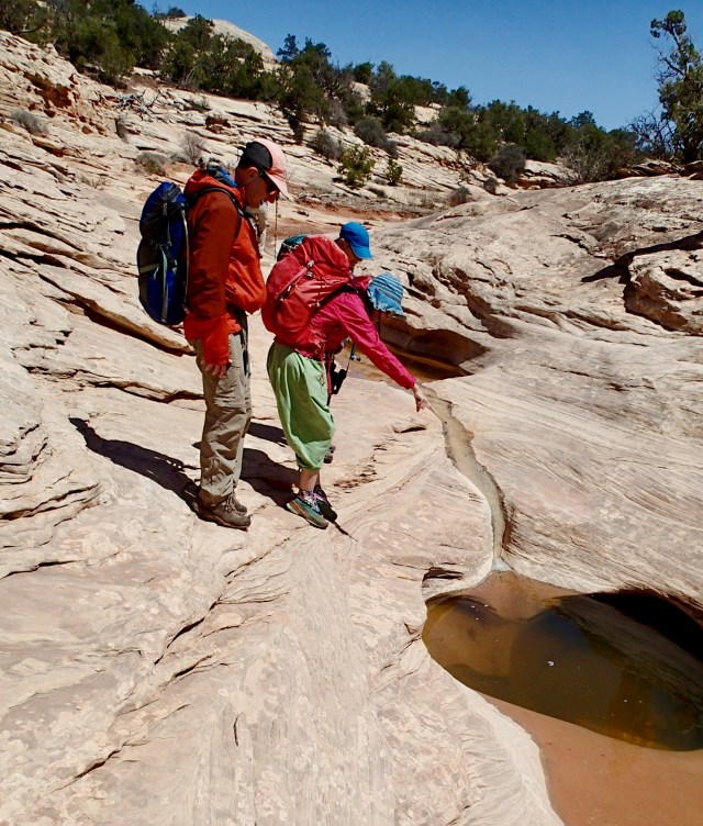 Hiking Where The Guidebooks Do Not Go – A Mountaineer Adventure In Southern Utah - Vimarsana News