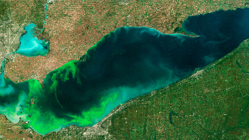 LANL: AI Can Help Forecast Toxic ‘Blue-Green Tides’ – Los Alamos Reporter