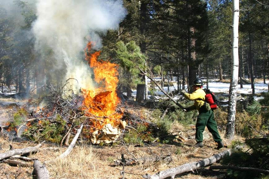 National Park Service Invites Public Comment On Bandelier National Monument’s Fire Management Plan Environmental Assessment