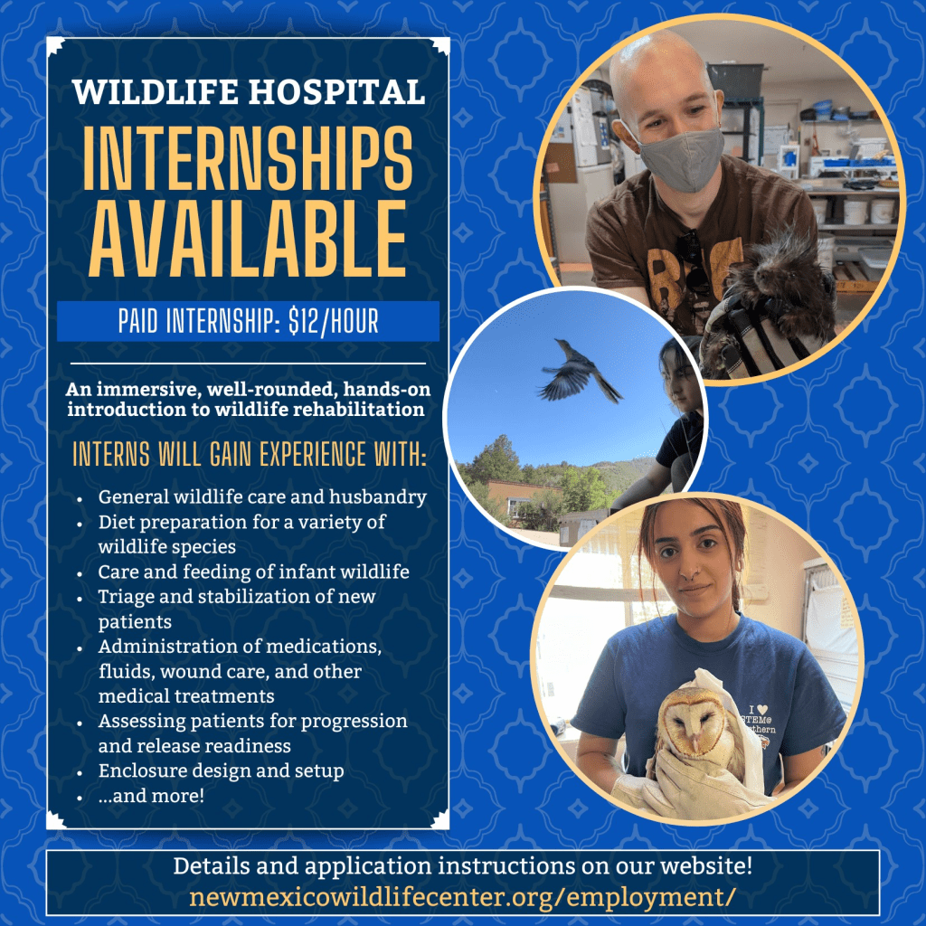 New Mexico Wildlife Hospital Paid Summer Internships Available