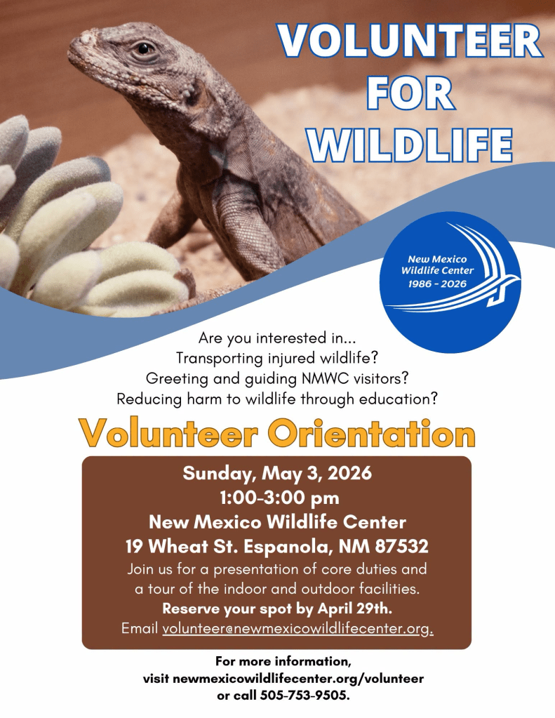 New Mexico Wildlife Center To Hold Orientation For Volunteers Sunday, May 3