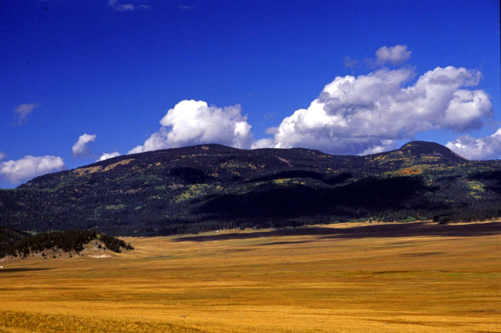 PEEC To Host ‘Fire Ecology And Changing Fire Regimes In The Jemez Mountains’ April 13 At Los Alamos Nature Center