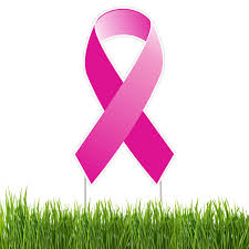 Fourth Annual Shop For The Cure Yard Sale To Raise Funds For Breast Cancer Research And Treatment Is Set For May 15 And 16 In White Rock