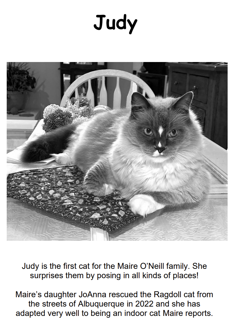 Time To Enter Your Rescue Pet’s Photo For The 2027 FOSCA Calendar: Deadline Is S...
