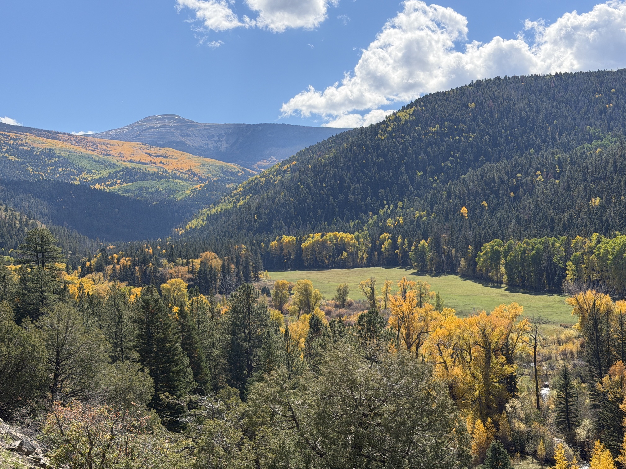 Fall Foliage Scenes Saturday From Santa Barbara Canyon, New Mexico