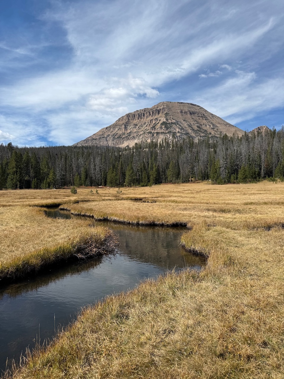 Tuesday’s Mountaineers Meeting To Feature Michael Altherr On Chasing Western Native Trout