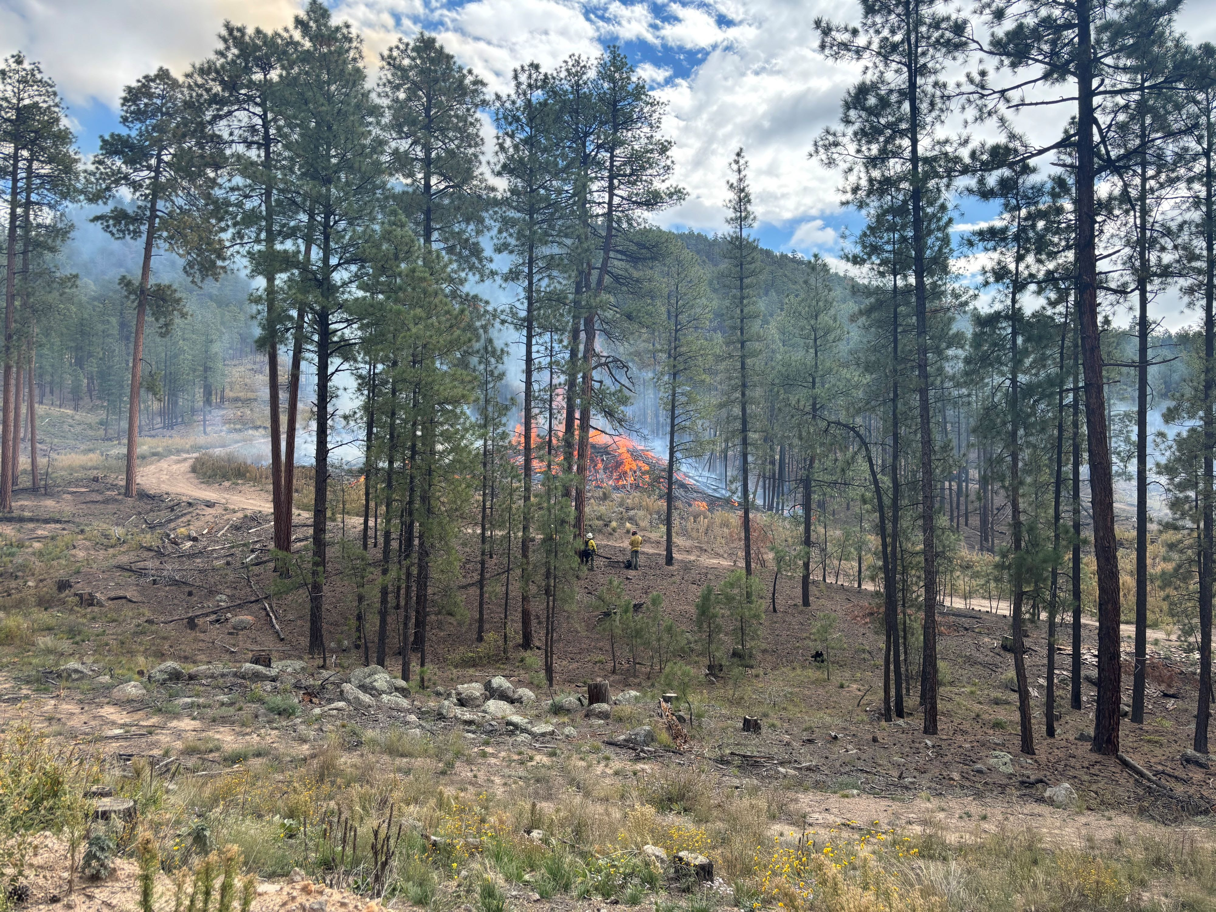 SFNF Crews Complete 412-Acre Paliza South Prescribed Fire: Patrol, Monitoring To Continue Through Weekend In Jemez Ranger District