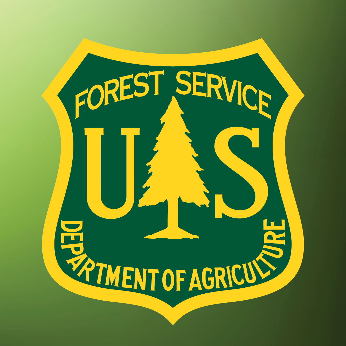 SFNF: Frijoles Fire Reaches 100 Percent Containment