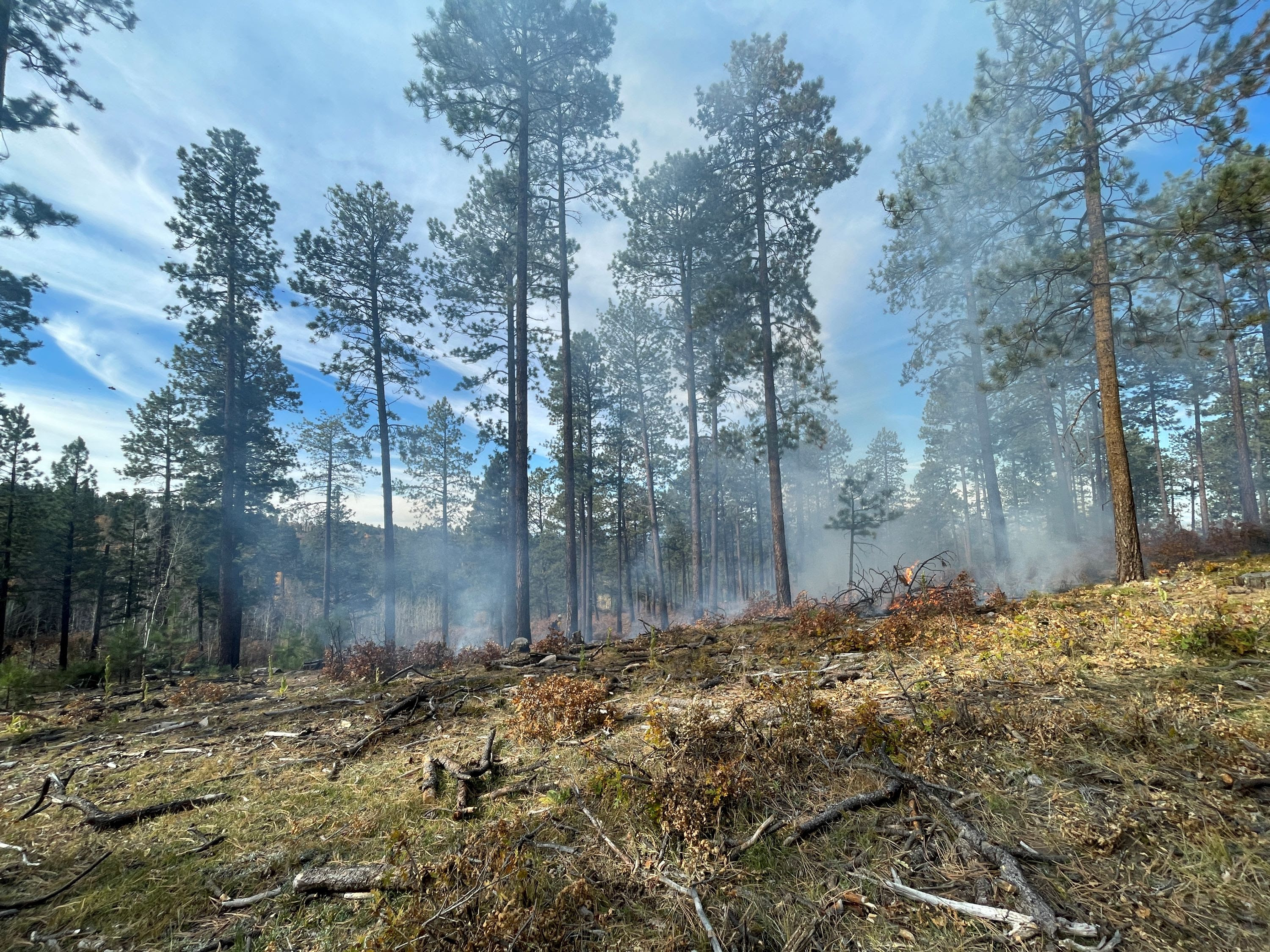 Jemez Ranger District Plans Paliza Prescribed Burn